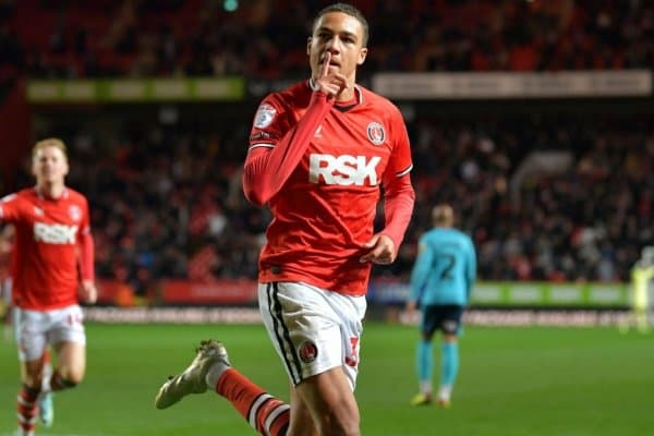 Англияда икки метрли гигант тўпурар пайдо бўлди