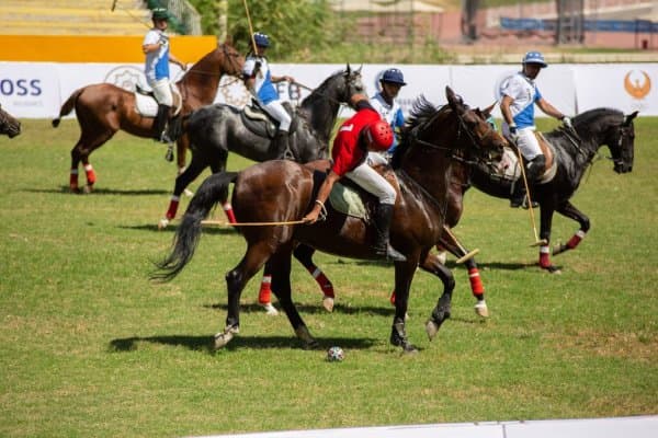 Тошкентда поло бўйича Мустақиллик кубоги бошланди