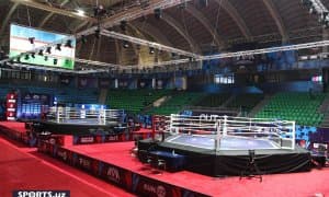 ММА бўйича илк чемпионлар маълум бўлди