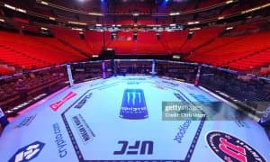 "UFC 313" турнирига 2 та  супер жанг қўшилди!