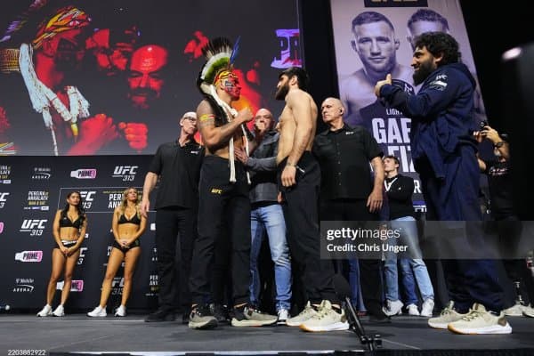 Ким ғалаба қозонади, Перрейрами ёки Анкалаев? UFC юлдузлари жавоб берди