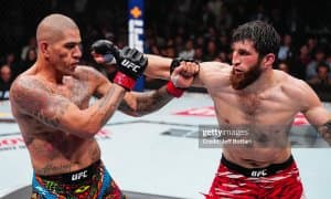  Алекс Перрейра ва Магомед Анкалаев ўртасидаги реваншни кўрамизми?