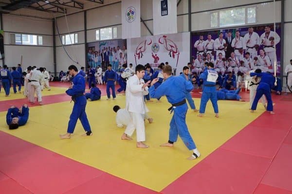 Дзюдо. Навбатдаги манзил - Грузия!