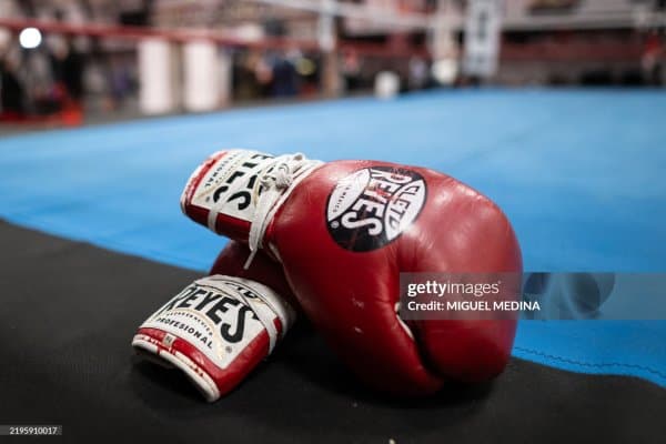 Май ойида бизни супер жанглар кутмоқда!