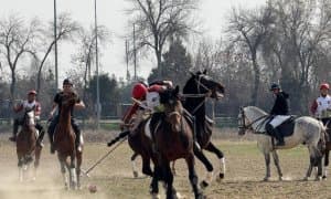 Чавандозлар от устида беллашди