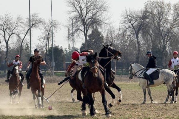 Чавандозлар от устида беллашди