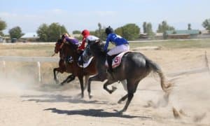 Чавандозларимиз от чоптиришда мезбонлардан ўзиб кетди