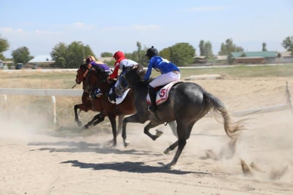 Чавандозларимиз от чоптиришда мезбонлардан ўзиб кетди