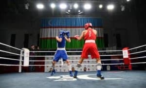Boxing: International tournament started in Chirchik 
