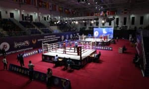 Муайтай. Ўзбекистон кубоги ўз ниҳоясига етди