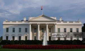 Оқ Уйдаги UFC турнири ҳақида янги маълумотлар пайдо бўлди