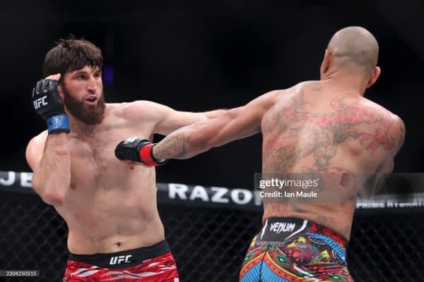 Магомед Анкалаев: "Алекс Перейра, реваншдан сўнг беъиани гапларни гапирма"