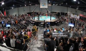 IMMAF жаҳон чемпионати. Ғалабали юришларимиз давом этмоқда!