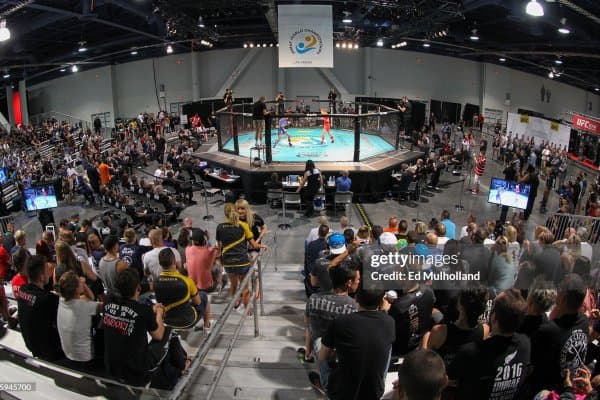 IMMAF жаҳон чемпионати. Ғалабали юришларимиз давом этмоқда!