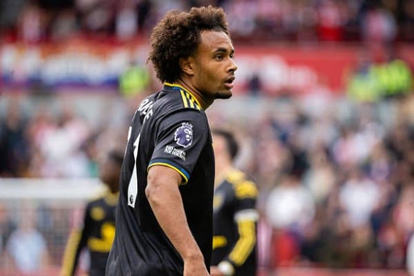 Зиркзе қишда Италияга қайтиши мумкин