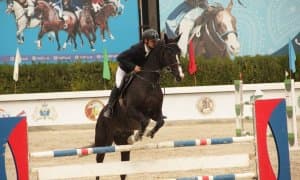 Ўзбекистон кубоги якунланди