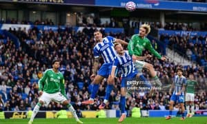 АПЛ. Уэлбекнинг дубли "Брайтон"нинг ғалабаси учун етарли бўлди (Видеошарҳ)