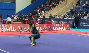 Ушу бўйича Ўзбекистон кубоги якунланди