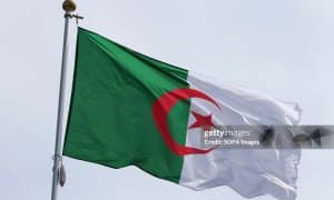 Вакиламиз жазоирлик боксчига имкониятни бой бериб қўйди