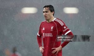 Буффон Кьезани Италияга қайтармоқчи