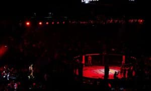 Фавқулодда вазиятлар вазирлиги фахрийлари ёдгорлиги ёнида спарринг ўтказган ММА жангчисига нисбатан жиноят иши қўзғатилди