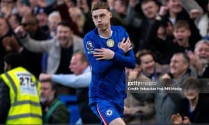 Палмер кучли ўнликдан жой эгаллади