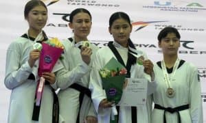 Завершён чемпионат Узбекистана по таэквондо WT