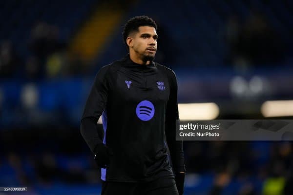 Араухо қачаон қайтади?