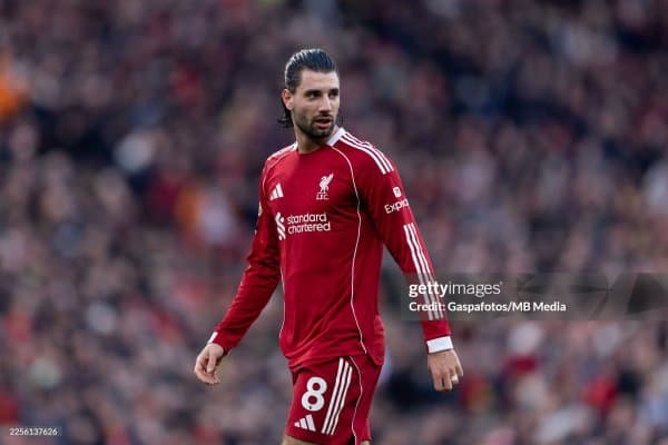 Собослаи: "Келажакда нима бўлишини кўрамиз"