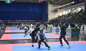 Чирчиқда Ўзбек жанг санъати бўйича Ўзбекистон чемпионати ўтказилди