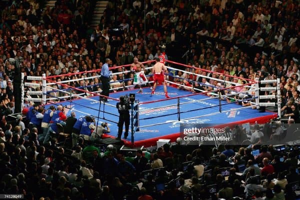 Бокс афсонаси профессионал рингга қайтмоқчи!