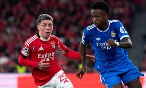 Престианни Винисиус уни биринчи бўлиб "гном" деб атаганини айтмоқчи