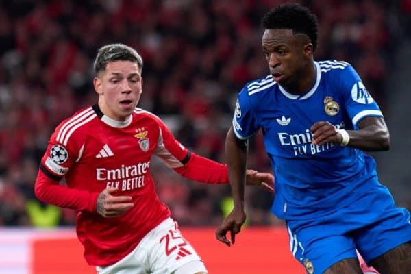 Престианни Винисиус уни биринчи бўлиб "гном" деб атаганини айтмоқчи