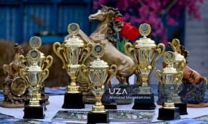 Результаты турнира по конкуру