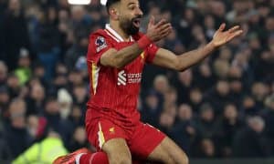 Салоҳни ўрнини қимматбаҳо тўпурар эгаллайди