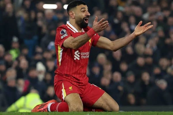 Салоҳни ўрнини қимматбаҳо тўпурар эгаллайди