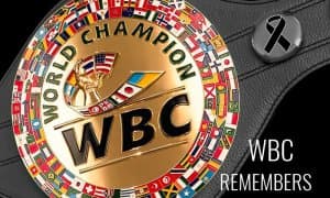 WBC рейтинги янгиланди. Боксчиларимизнинг ўрни қандай?