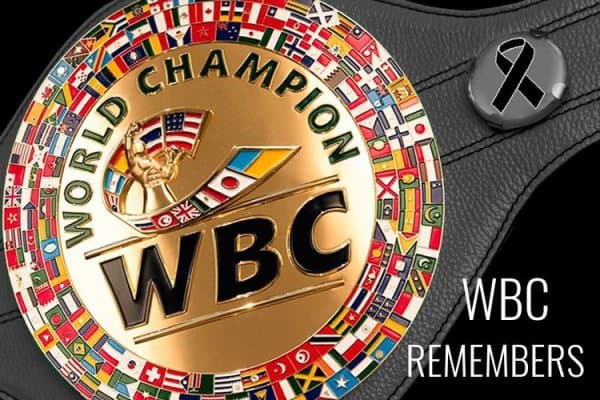 WBC рейтинги янгиланди. Боксчиларимизнинг ўрни қандай?