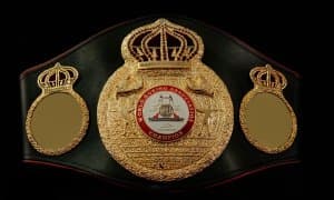Жаҳон чемпиони ўзбек боксчисига қарши жанг ўтказиши шарт қилинди