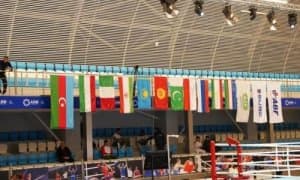 14 boxers are going to compete at the BRICS games today 
