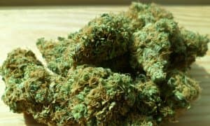 Спортчилар марихуананинг тақиқланишига қарши чиқишмоқда