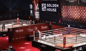 The program of the Uzbek Boxing Championship