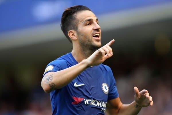 Фабрегасга Туркия гранди жиддий қизиқиб қолди