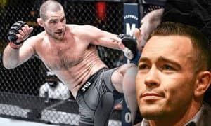 Стрикленд: "Сен яхши жангчисан, лекин заиф инсонсан!"