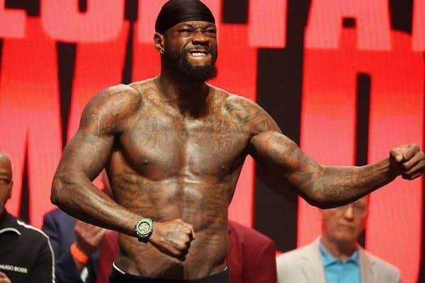 Уайлдер қачон жанг ўтказишини айтди