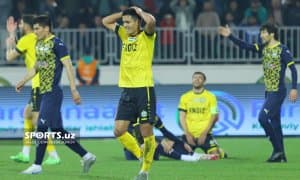 Кутилмаганда "йўлбарс" овда "шер"ни таслим этди (ФОТОГАЛЕРЕЯ)