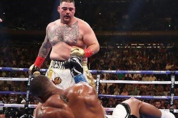 Энди Руис Жошуага ўзига ҳос совға тайёрламоқда