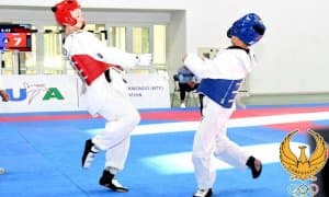 Таэквондо WTF бўйича мусобақа якунланди