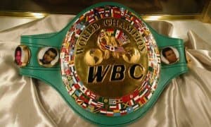 WBC янгиланган рейтингида ўзбекистонлик боксчилар қайси поғоналарни банд этди?
