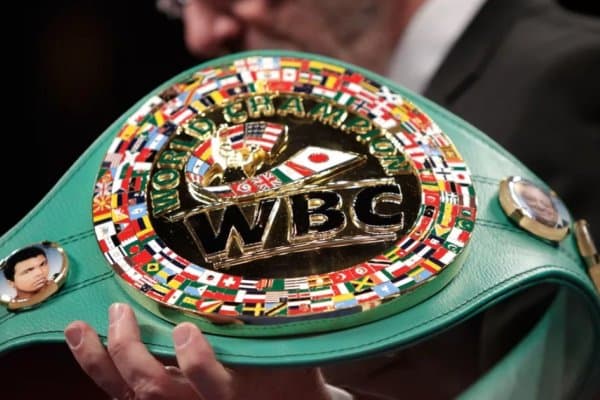 WBC янгиланган рейтингида бир қатор ўзбекистонлик боксчилар юқорилади